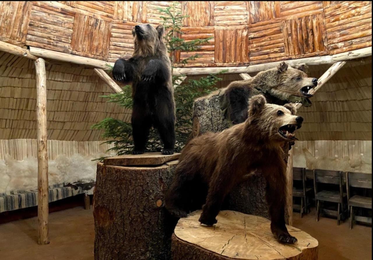 Pentahouse Mountain Belle Vue Apartment Poiana Brasov Bagian luar foto