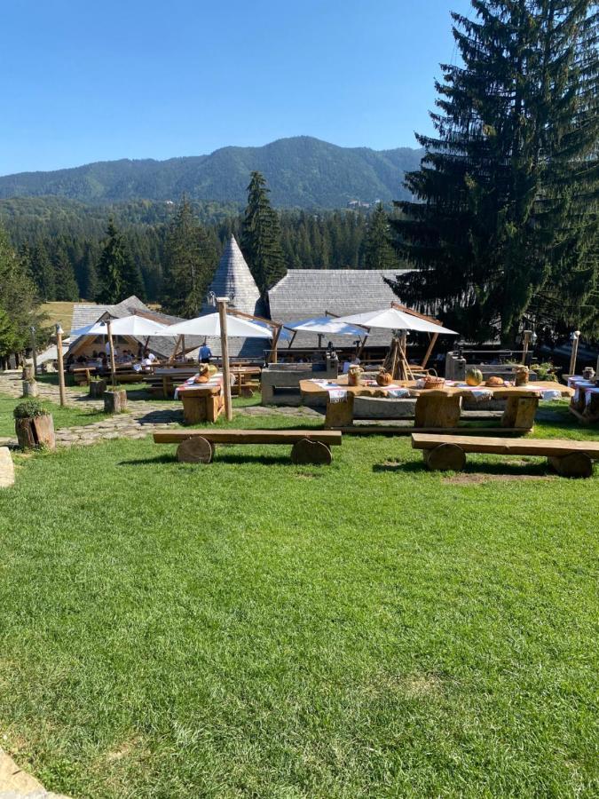 Pentahouse Mountain Belle Vue Apartment Poiana Brasov Bagian luar foto